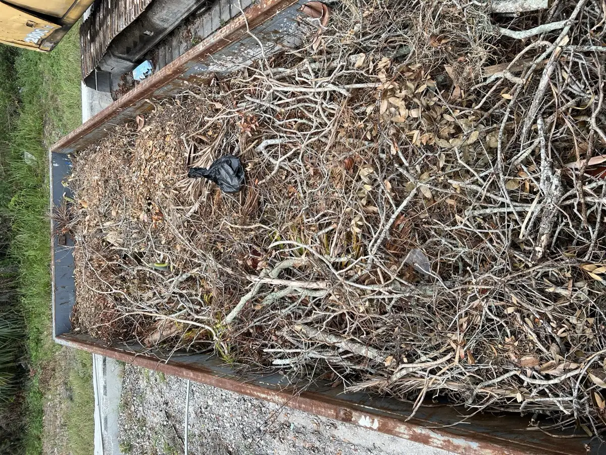 Land Clearing in Tampa Bay FL — Lot clearing, brush removal, site preparation.